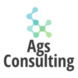 AGS Consulting